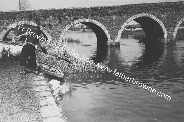 SHEEP WASHING IN RIVER BARROW